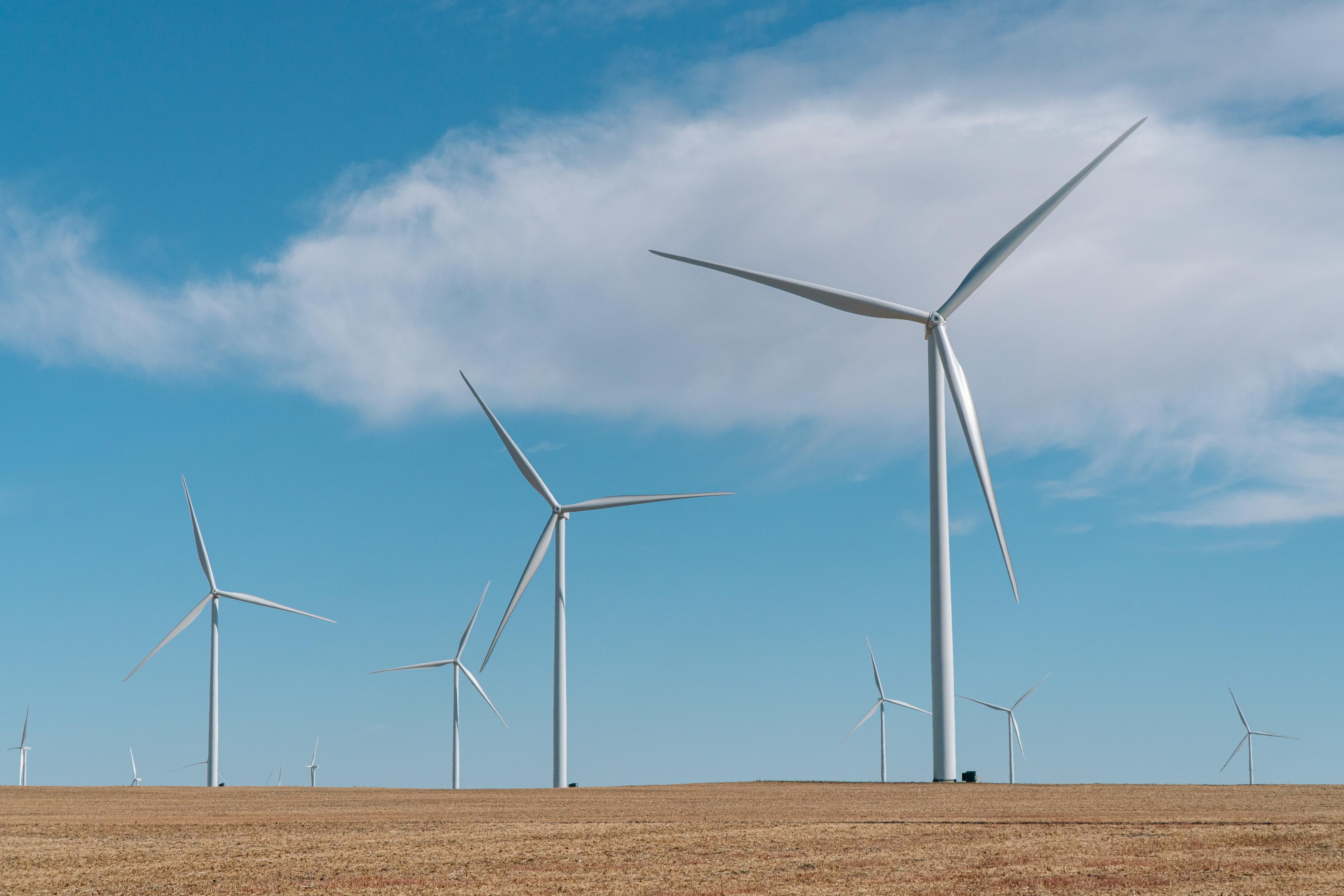 Windmills in a field