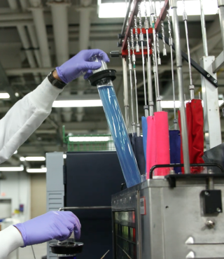 A gloved hand holds a large test tube containing a blue liquid