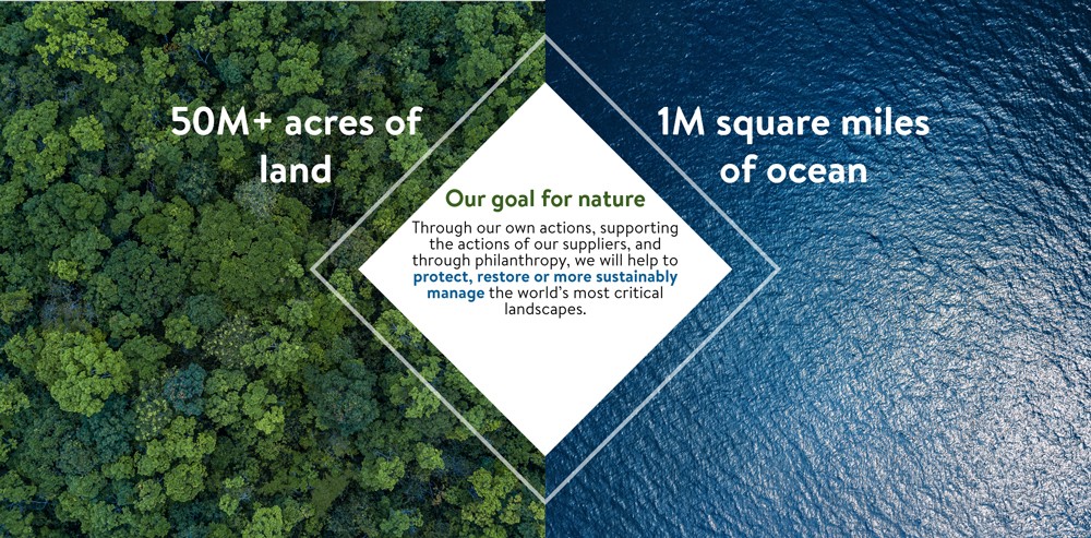 Nature goal of 50M+ acres of land and 1M square miles of ocean. Through our own actions, supporting the actions of our suppliers, and through philanthropy, we will help to protect, restore or more sustainably manage the world's most critical landscapes.