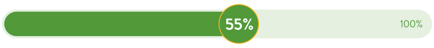 Sustainable Packaging Progress 55% Graphic